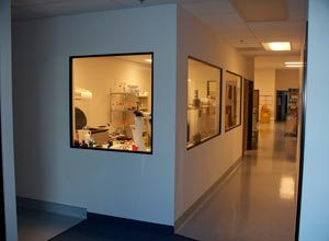 Biologic Process Development